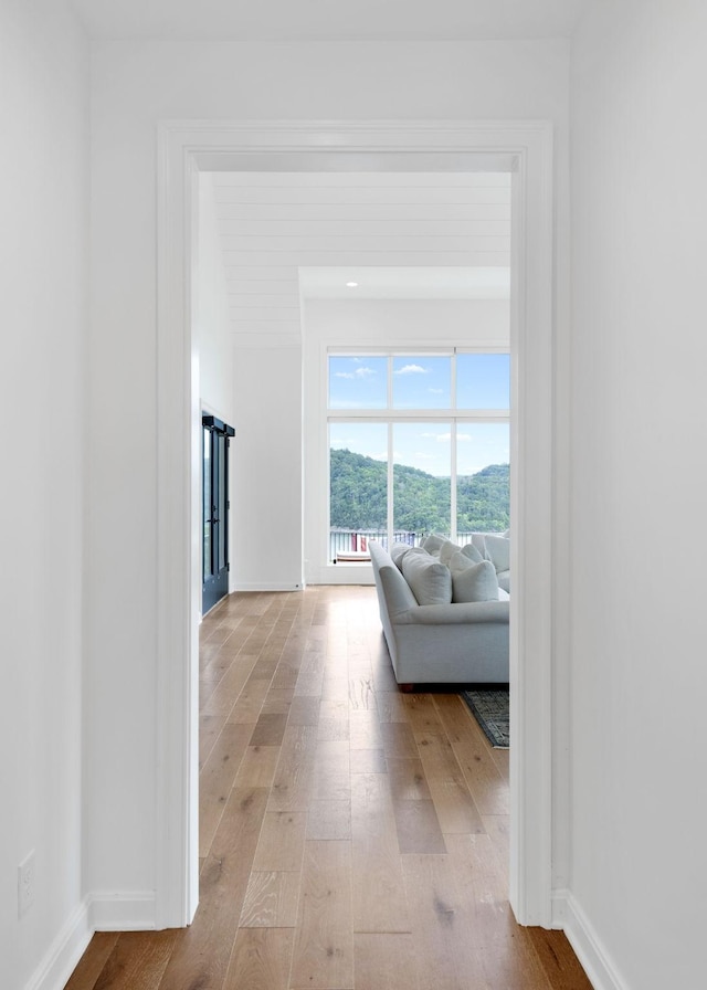928 Harbor Pointe Dr, Silver Point, TN 38582 - hallway with light wood-type flooring
