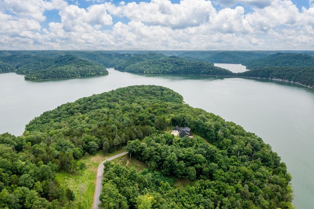 928 Harbor Pointe Dr, Silver Point, TN 38582 - bird's eye view of a large body of water