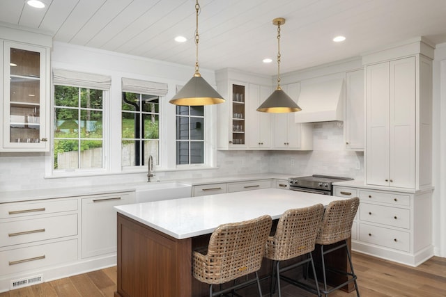 928 Harbor Pointe Dr, Silver Point, TN 38582 - kitchen with custom range hood, stainless steel range with electric stovetop, wood finished floors, light countertops, and white cabinetry