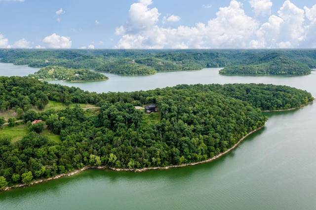 928 Harbor Pointe Dr, Silver Point, TN 38582 - bird's eye view of a heavily wooded area and a large body of water