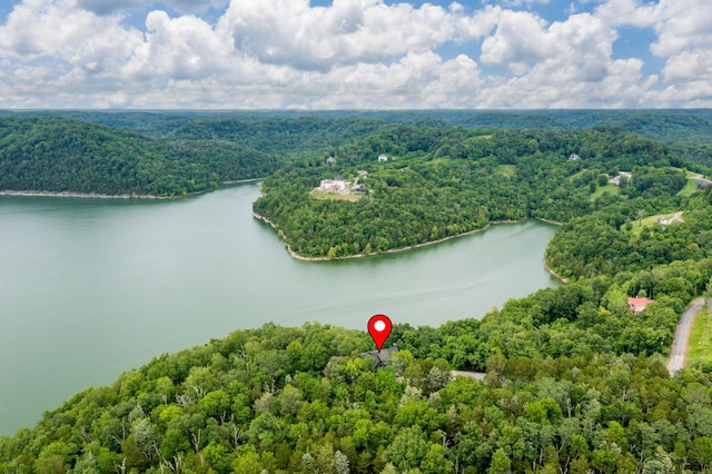 928 Harbor Pointe Dr, Silver Point, TN 38582 - drone / aerial view of a forest and a nearby body of water