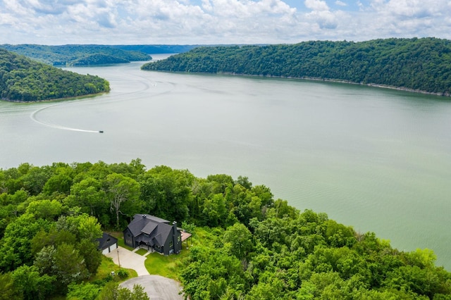 928 Harbor Pointe Dr, Silver Point, TN 38582 - view from above of property featuring a nearby body of water
