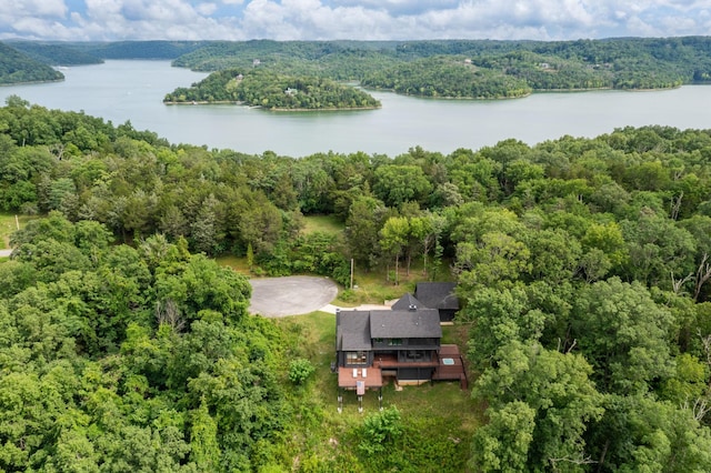 928 Harbor Pointe Dr, Silver Point, TN 38582 - drone / aerial view of a large body of water and a heavily wooded area