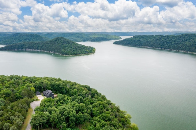 928 Harbor Pointe Dr, Silver Point, TN 38582 - aerial view of a nearby body of water