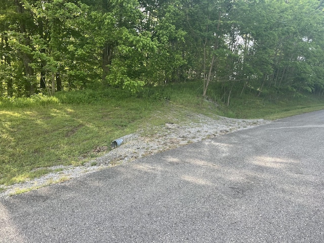 0 Williamson Cir, Smithville, TN 37166 - photo 6