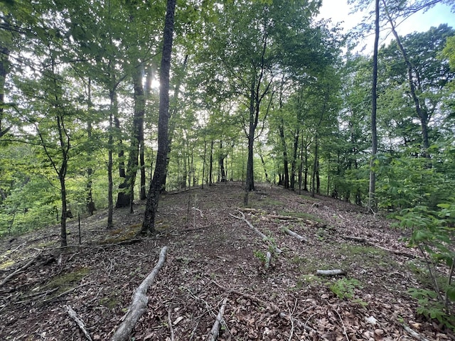 0 Williamson Cir, Smithville, TN 37166 - photo 8