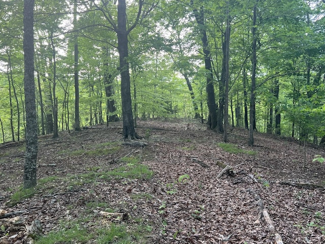 0 Williamson Cir, Smithville, TN 37166 - photo 9