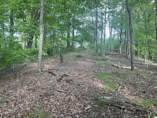 0 Williamson Cir, Smithville, TN 37166 - photo 10