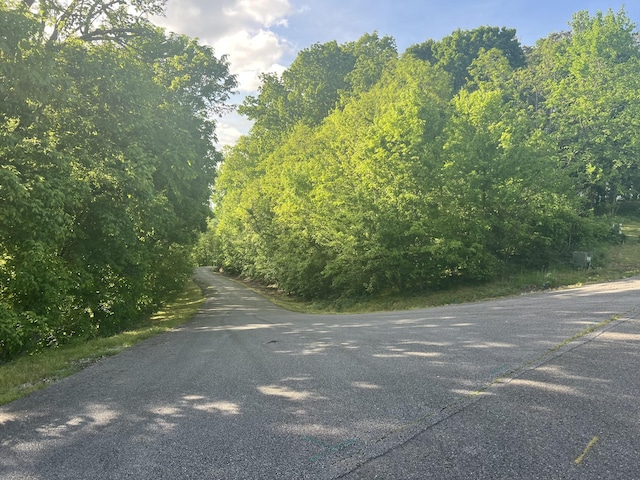 0 Williamson Cir, Smithville, TN 37166 - photo 5