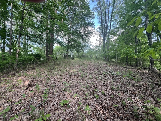 0 Williamson Cir, Smithville, TN 37166 - photo 7