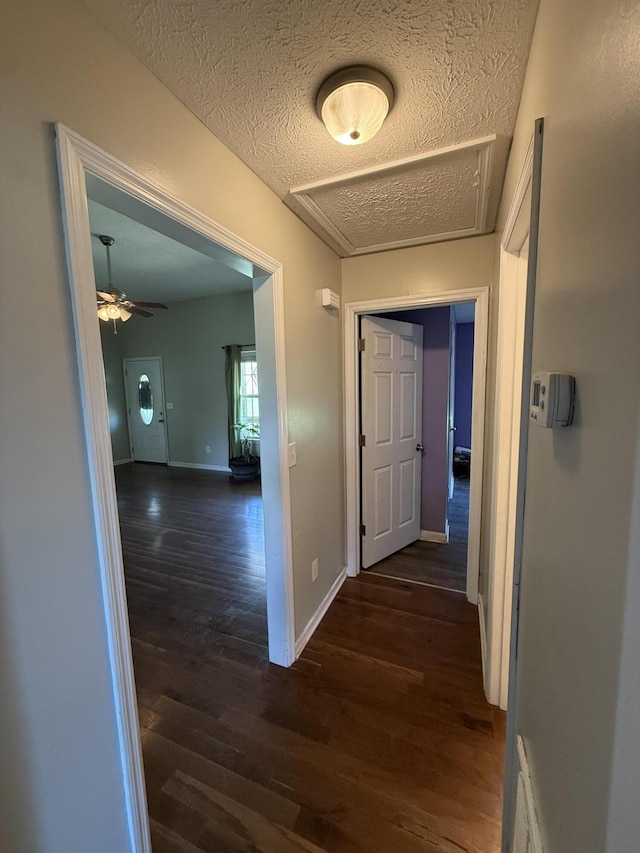 191 Lookout Cir, Trenton, GA 30752 - hall featuring wood finished floors and a textured ceiling