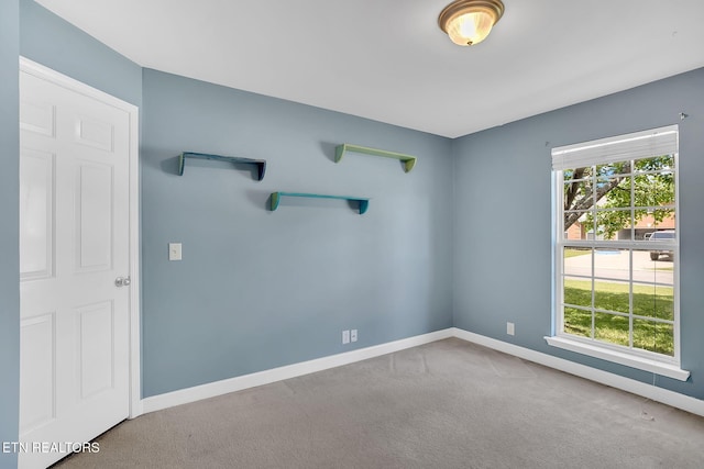 3439 Wellington Pl, Murfreesboro, TN 37128 - photo 32