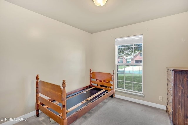 3439 Wellington Pl, Murfreesboro, TN 37128 - photo 27