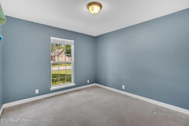 3439 Wellington Pl, Murfreesboro, TN 37128 - photo 31