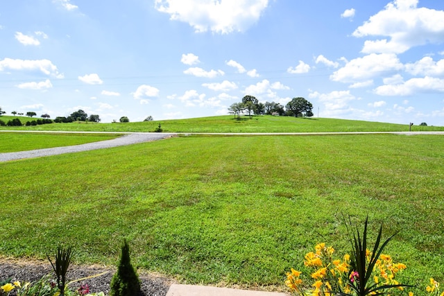 3290 Rocky Mound Rd, Westmoreland, TN 37186 - photo 7