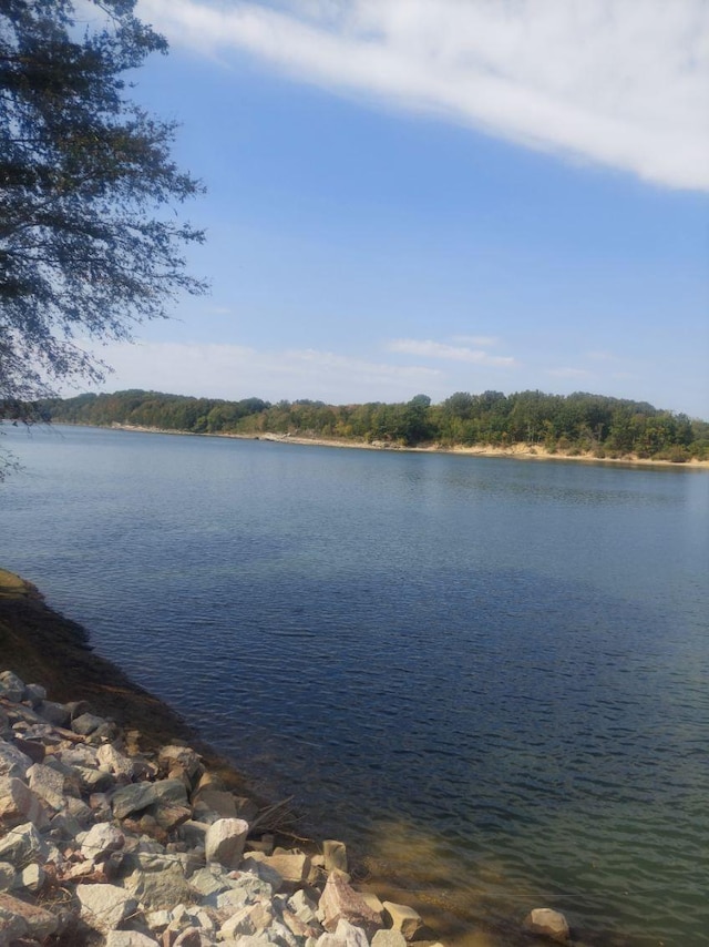 715 Prairie Land Dr, Savannah, TN 38372 - photo 27