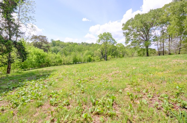 3150 Sugar Creek Rd, Woodlawn, TN 37191 - view of yard featuring a forest view