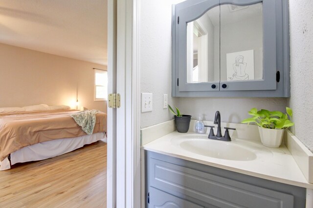 3150 Sugar Creek Rd, Woodlawn, TN 37191 - bathroom with ensuite bath, vanity, and wood finished floors