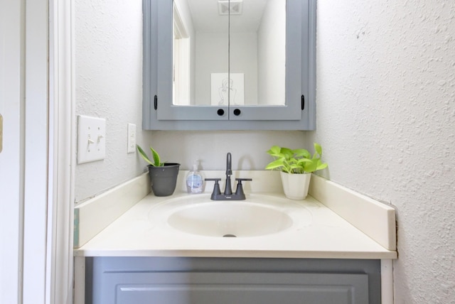 3150 Sugar Creek Rd, Woodlawn, TN 37191 - bathroom featuring vanity and a textured wall