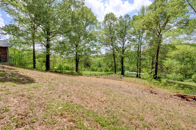 3150 Sugar Creek Rd, Woodlawn, TN 37191 - view of yard