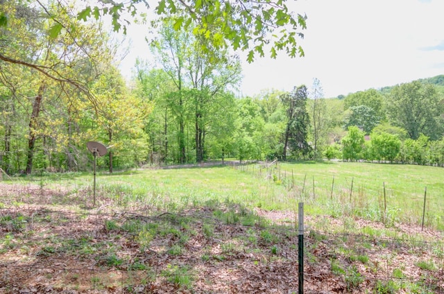 3150 Sugar Creek Rd, Woodlawn, TN 37191 - view of yard featuring a forest view