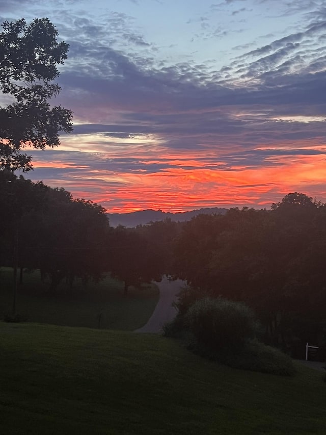 1201 Natchez Rd, Franklin, TN 37069 - mountain view