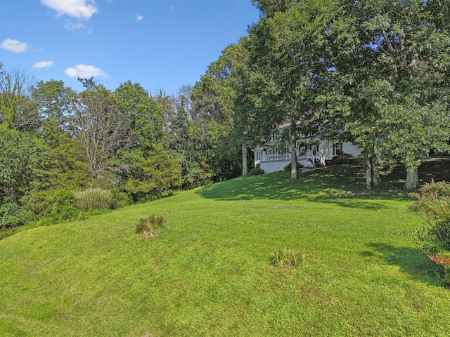 1201 Natchez Rd, Franklin, TN 37069 - view of green lawn