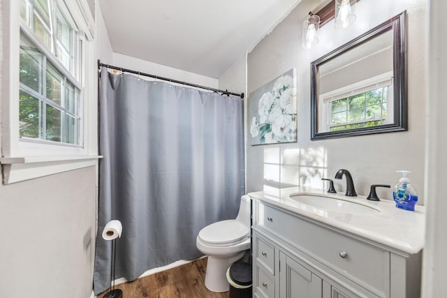 1150 Mattox Town Rd, Lawrenceburg, TN 38464 - bathroom with vanity, wood finished floors, and a shower with curtain