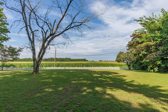 1150 Mattox Town Rd, Lawrenceburg, TN 38464 - view of yard