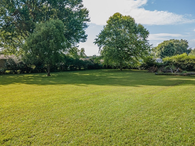 1150 Mattox Town Rd, Lawrenceburg, TN 38464 - view of green lawn featuring view of scattered trees