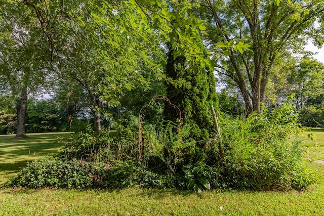 1150 Mattox Town Rd, Lawrenceburg, TN 38464 - view of nature
