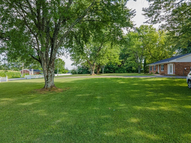 1150 Mattox Town Rd, Lawrenceburg, TN 38464 - view of yard