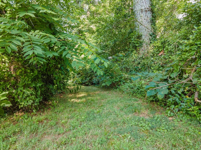 1150 Mattox Town Rd, Lawrenceburg, TN 38464 - view of yard