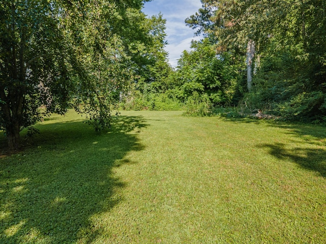 1150 Mattox Town Rd, Lawrenceburg, TN 38464 - view of green lawn featuring a view of trees