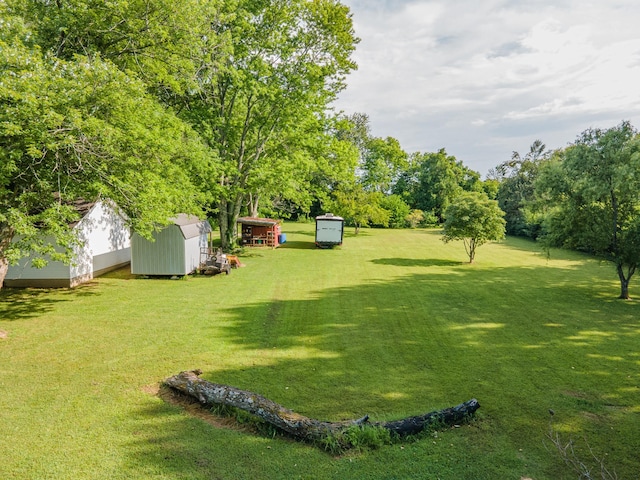 1150 Mattox Town Rd, Lawrenceburg, TN 38464 - view of green lawn with a shed and view of wooded area