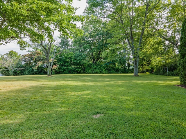 1150 Mattox Town Rd, Lawrenceburg, TN 38464 - view of grassy yard featuring view of wooded area
