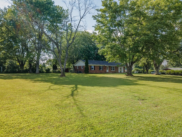 1150 Mattox Town Rd, Lawrenceburg, TN 38464 - view of green lawn