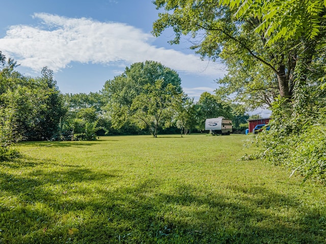 1150 Mattox Town Rd, Lawrenceburg, TN 38464 - view of green lawn