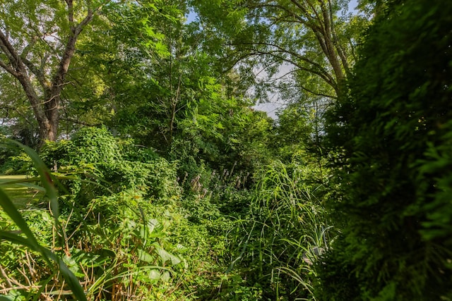 1150 Mattox Town Rd, Lawrenceburg, TN 38464 - view of local wilderness