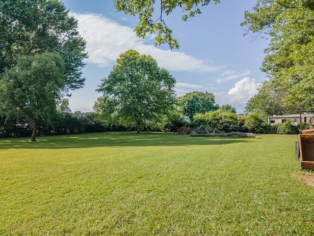 1150 Mattox Town Rd, Lawrenceburg, TN 38464 - view of grassy yard with view of wooded area