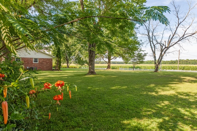 1150 Mattox Town Rd, Lawrenceburg, TN 38464 - view of grassy yard