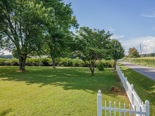 1150 Mattox Town Rd, Lawrenceburg, TN 38464 - view of yard