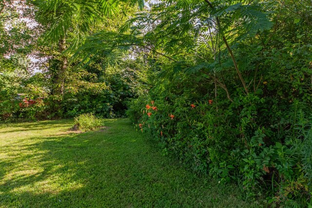 1150 Mattox Town Rd, Lawrenceburg, TN 38464 - view of green lawn