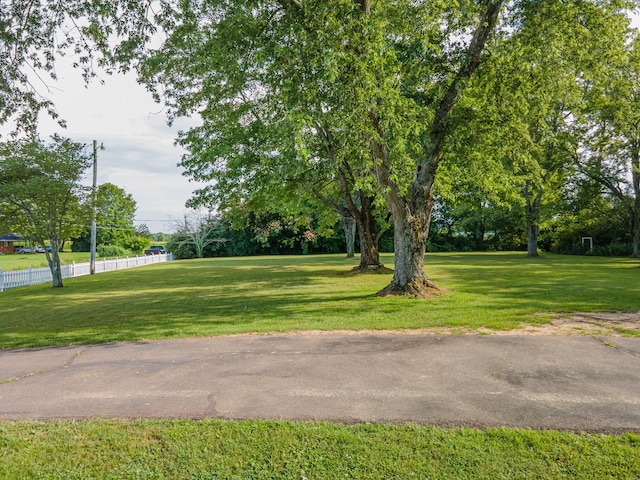 1150 Mattox Town Rd, Lawrenceburg, TN 38464 - view of property's community