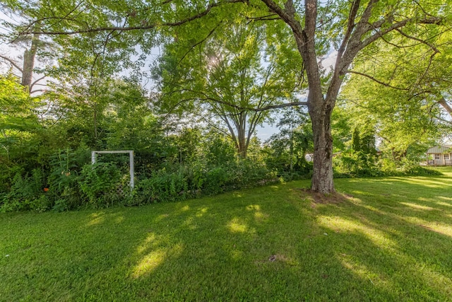 1150 Mattox Town Rd, Lawrenceburg, TN 38464 - view of green lawn