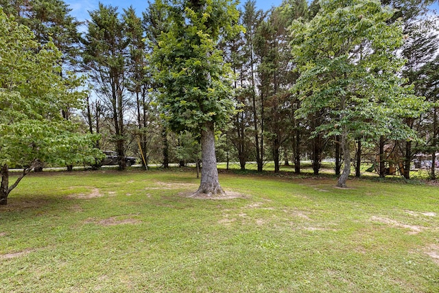174 Buck Run Estates Rd, Graysville, TN 37338 - photo 34
