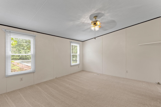 174 Buck Run Estates Rd, Graysville, TN 37338 - photo 24