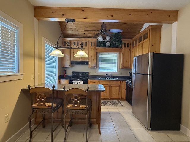 29 Bradley Ln, Bath Springs, TN 38311 - kitchen with freestanding refrigerator, black / electric stove, dark countertops, under cabinet range hood, and a peninsula