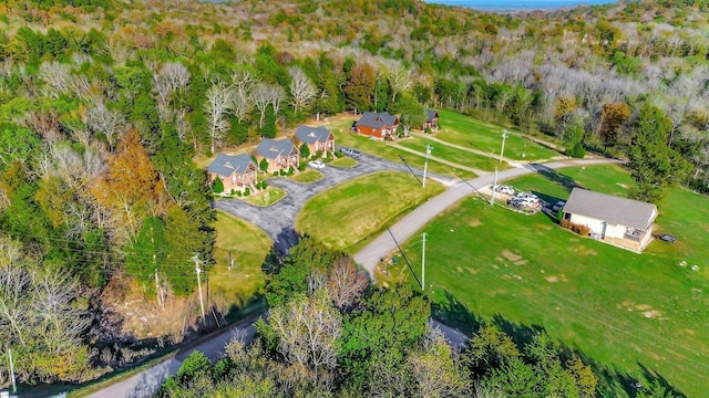 29 Bradley Ln, Bath Springs, TN 38311 - drone / aerial view of a heavily wooded area