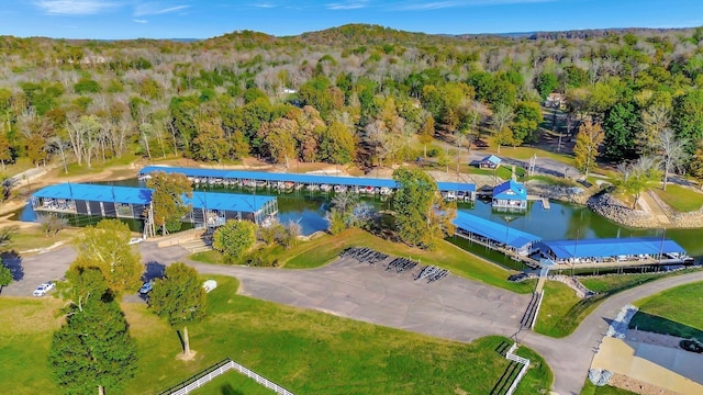 29 Bradley Ln, Bath Springs, TN 38311 - bird's eye view of a heavily wooded area